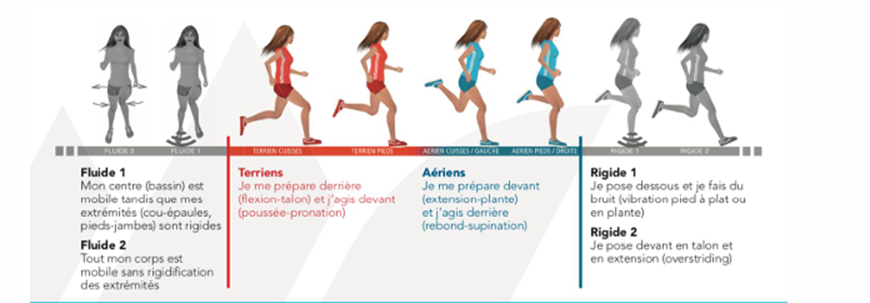 Schéma décrivant les profils de coureurs terriens et aériens que l'on rencontre dans les préférences motrices.
